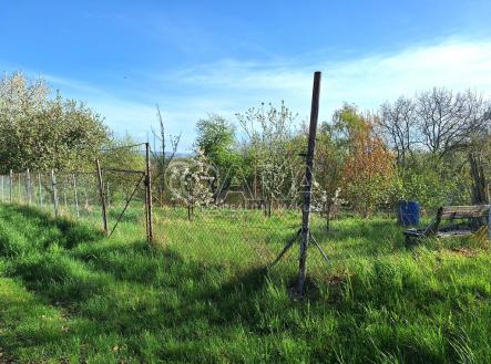 20250417-083951-1.jpg | Prodej - pozemek, zahrada, 517 m²