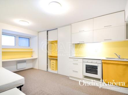 byt-k-podjezdu-nusle-pronajem-ondrej-kucera-www-osobnirealitmakler-cz-ok-reality-08.jpg | Pronájem bytu, 1+kk, 29 m²