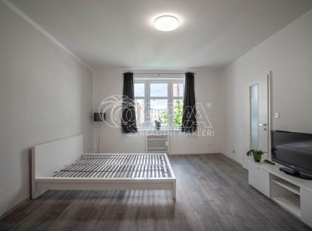 20231005010243-957.jpg | Pronájem bytu, 1+1, 37 m²