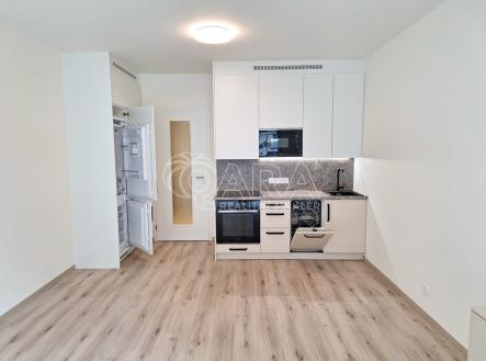 1-1.jpg | Pronájem bytu, 1+kk, 32 m²