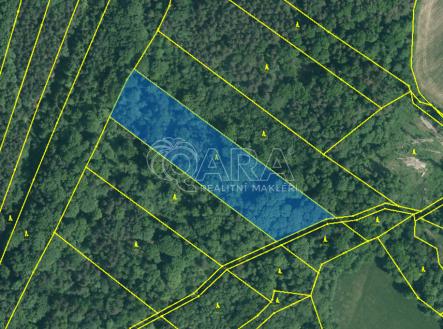 obrazek3.png | Prodej - pozemek, les, 28 851 m²