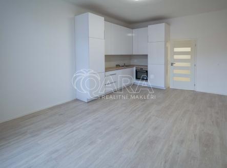 dsc-0037.jpg | Pronájem bytu, 2+kk, 50 m²