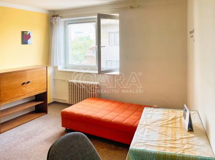 podnajem-05.jpeg | Pronájem bytu, 6+1, 16 m²