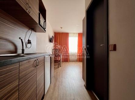 Pronájem bytu, 1+kk, 26 m² obrázek