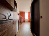 Pronájem bytu, 1+kk, 26 m²