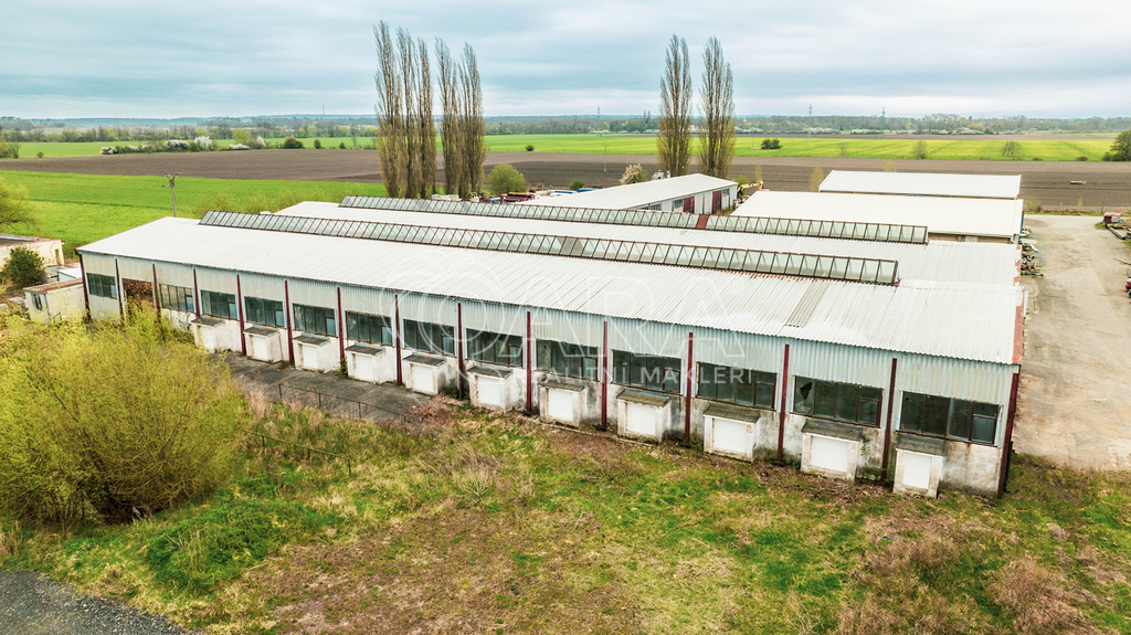 dji-0558-a.jpg