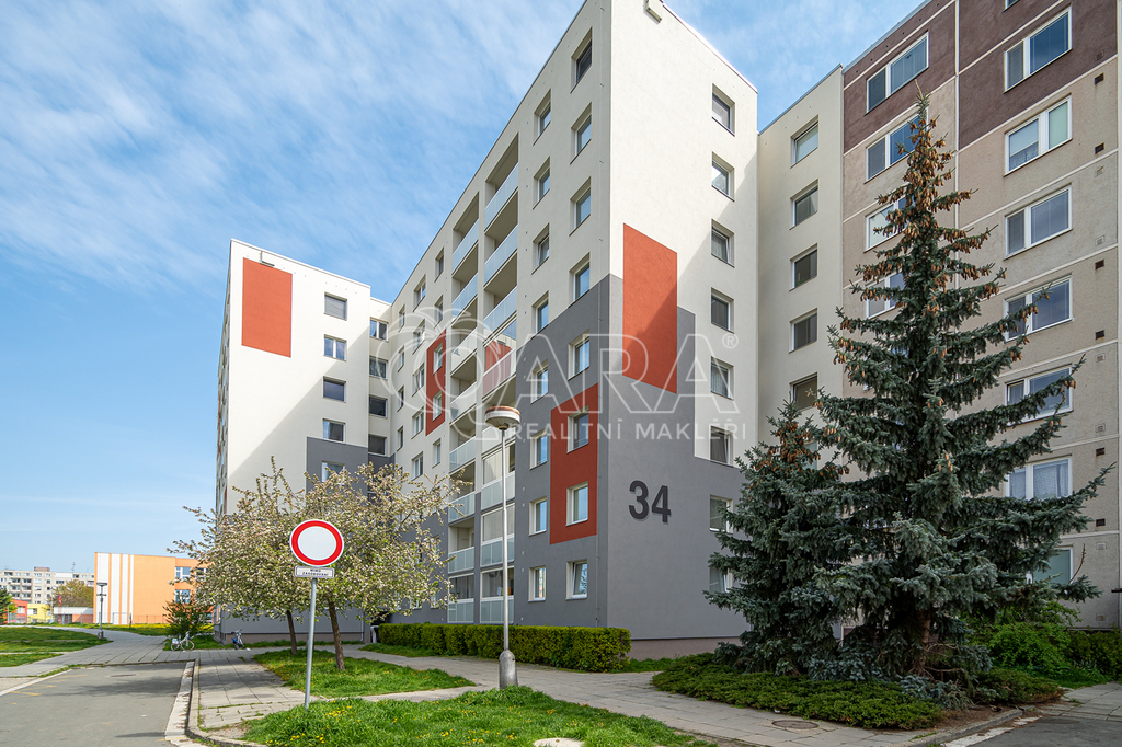 hf-38.jpg