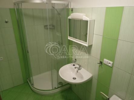 img20231114134710.jpg | Pronájem bytu, 1+kk, 34 m²