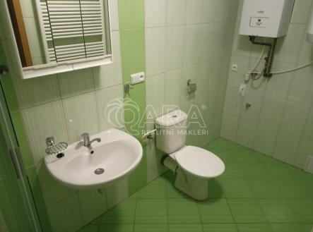 img20231114134703.jpg | Pronájem bytu, 1+kk, 34 m²