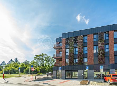 Pronájem bytu, 2+kk, 51 m² obrázek