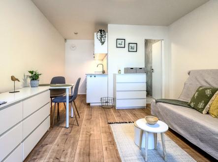 petrovice-2.jpg | Pronájem bytu, 1+kk, 17 m²