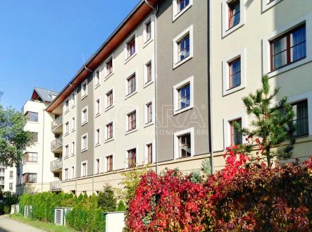 Pronájem bytu, 2+1, 55 m² obrázek