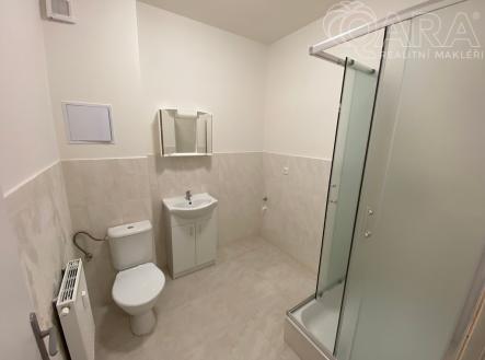 img-0592.jpeg | Pronájem bytu, 3+kk, 89 m²
