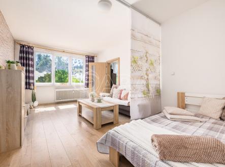 Prodej bytu, 1+1, 43 m² obrázek