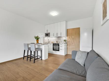slany-6.jpg | Pronájem bytu, 1+kk, 44 m²