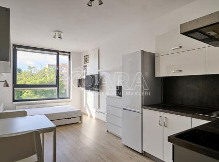dsc-5689.jpg | Pronájem bytu, 1+kk, 28 m²