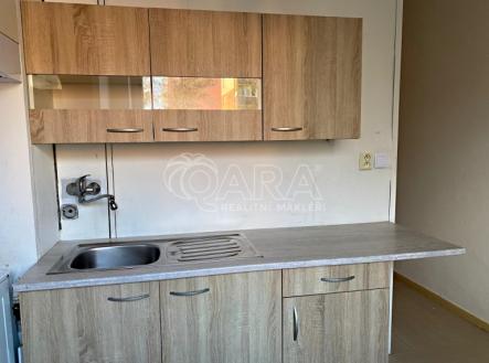 Pronájem bytu, 1+1, 41 m² obrázek