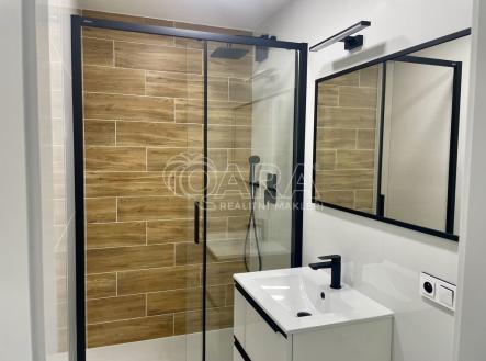 Koupelna se sprchovým koutem | Pronájem bytu, 2+kk, 49 m²