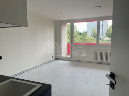 Pokoj s kuchyňským koutem | Pronájem bytu, 2+kk, 49 m²