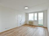 Pronájem bytu, 1+1, 53 m²
