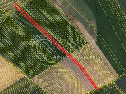 gtee.jpg | Prodej - pozemek, zemědělská půda, 8 900 m²