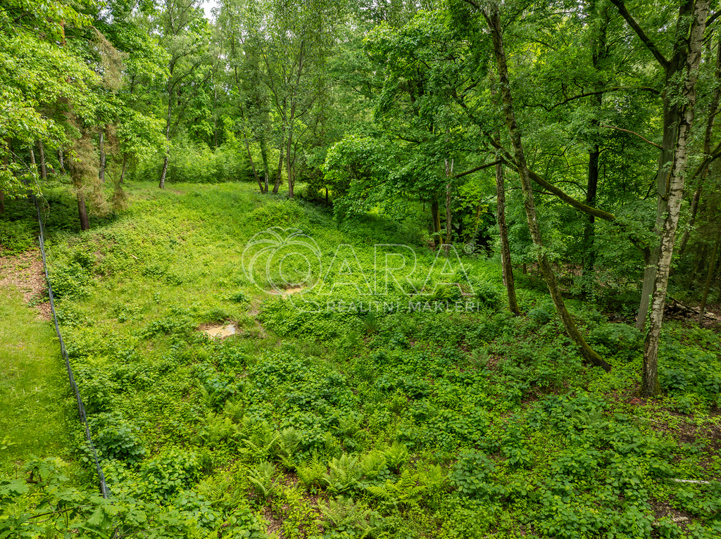 dji-0138-enhanced-nr.jpg