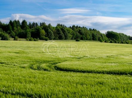 field-7217003-1280.jpg | Prodej - pozemek, ostatní, 31 659 m²