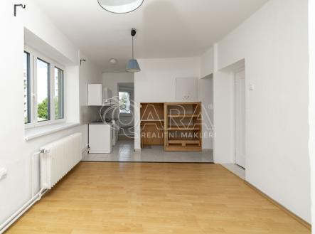 cdp04352.jpg | Pronájem bytu, 4+kk, 97 m²