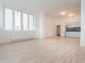 Pronájem bytu, 1+kk, 43 m²