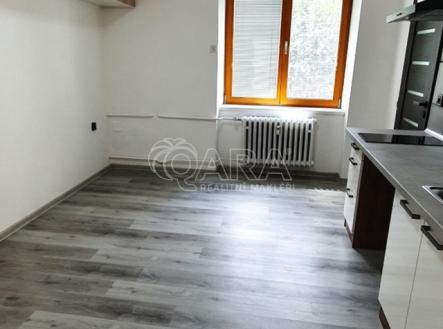 20230728-141431.jpg | Prodej bytu, 1+kk, 19 m²