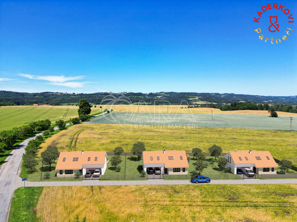 dji-0054-rev.jpg