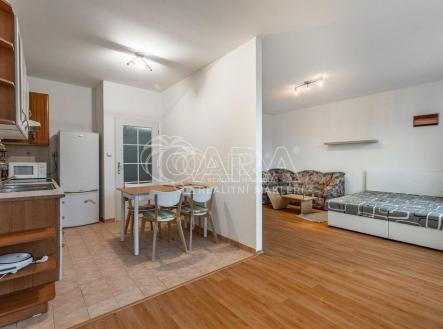 Pronájem bytu, 1+1, 46 m² obrázek