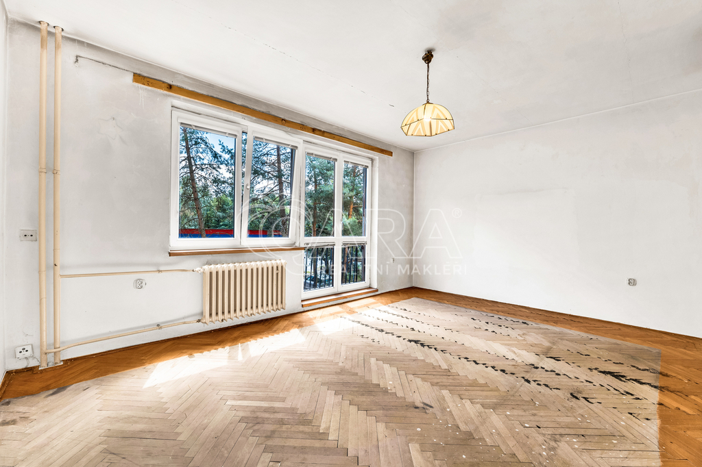 belcicka-2822-1.jpg