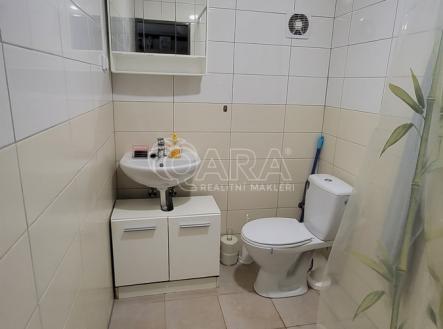 20250806-181158.jpg | Pronájem bytu, 1+kk, 36 m²