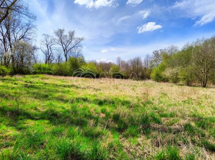 img20250416133231.jpg | Prodej - pozemek pro bydlení, 2 892 m²