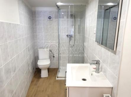 20250811-111301.jpg | Pronájem bytu, 1+1, 45 m²