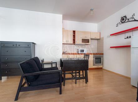 fotografie | Pronájem bytu, 1+kk, 45 m²