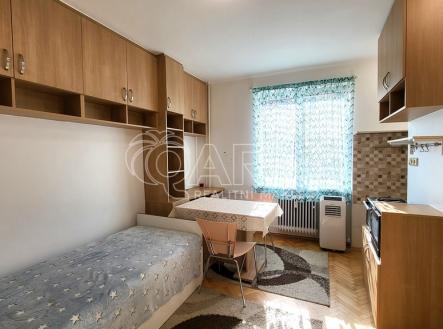Pronájem bytu, 1+kk, 22 m²