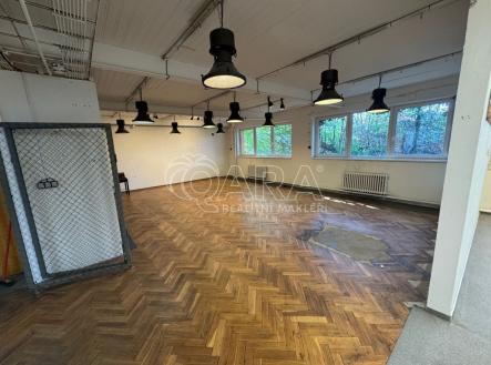 fotografie | Pronájem - skladovací prostor, 100 m²
