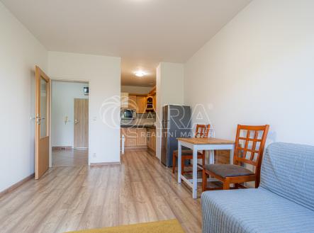 04.jpg | Pronájem bytu, 2+kk, 51 m²