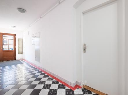Vstupní chodba domu | Pronájem bytu, 1+kk, 453 m²
