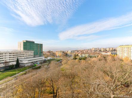 VÝHLED Z LODŽIE | Prodej bytu, 1+kk, 27 m²