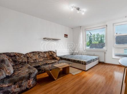 20231005014844-618.jpg | Pronájem bytu, 1+1, 46 m²