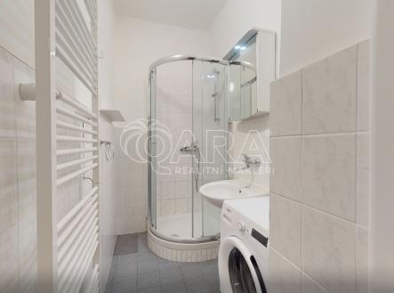 bd82135a-c389-47d0-a912-022daee60cc9.png | Pronájem bytu, 2+1, 56 m²