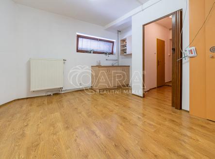 foto-4.jpg | Pronájem bytu, 1+kk, 15 m²