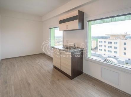 dsc-0420.jpg | Pronájem bytu, 1+kk, 12 m²