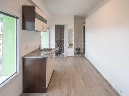 dsc-0421.jpg | Pronájem bytu, 1+kk, 12 m²