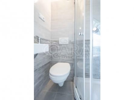 dsc-0417-kopie.jpg | Pronájem bytu, 1+kk, 12 m²