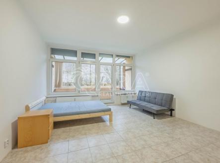 dsc-9305-hdr.jpg | Pronájem bytu, 1+kk, 32 m²