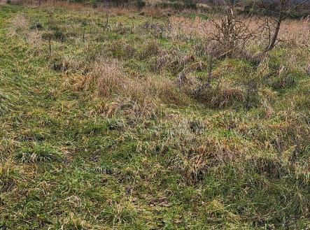 20251202-122301.jpg | Prodej - pozemek pro bydlení, 1 317 m²